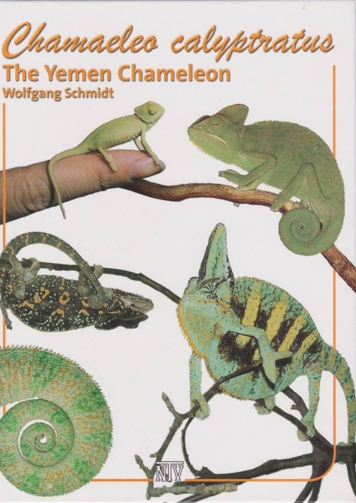 Chamaeleo calyptratus: The Yemen Chameleon
